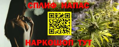 a pvp Гагарин
