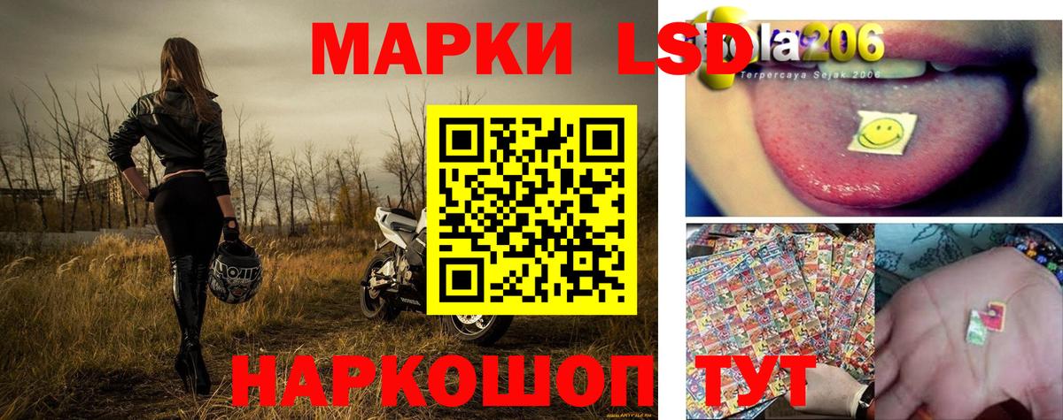 Наркотические марки 1500мкг  Вход с VPN  Наркотические марки 1500мкг  Богородицк 